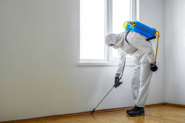 Best Best Pest Control Companies  in Mcconnellstown, PA