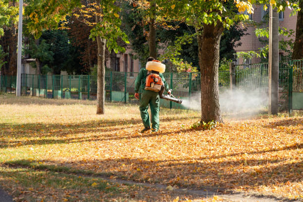 Best Mosquito Control Services  in Mcconnellstown, PA