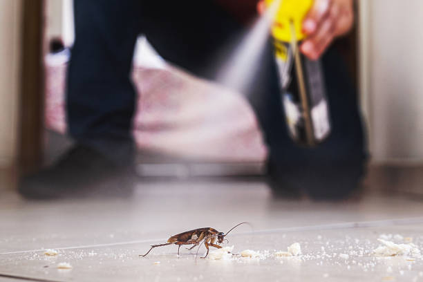 Best Wildlife Control Services  in Mcconnellstown, PA