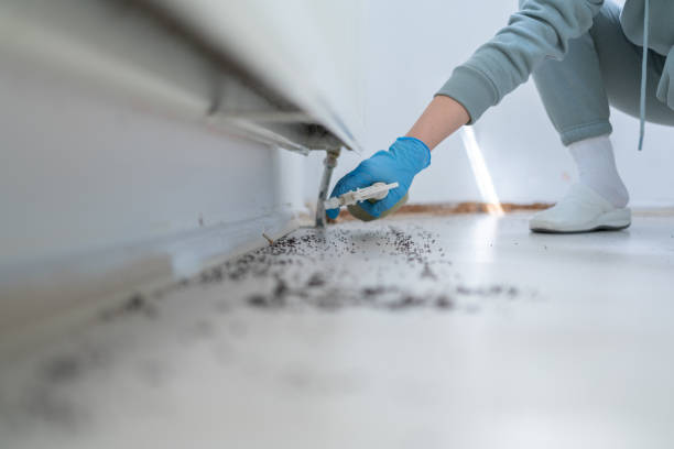 Best Local Pest Control Services  in Mcconnellstown, PA